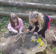 obrazek whatsapp 2024-05-08 v 12.15.14_09a540c2